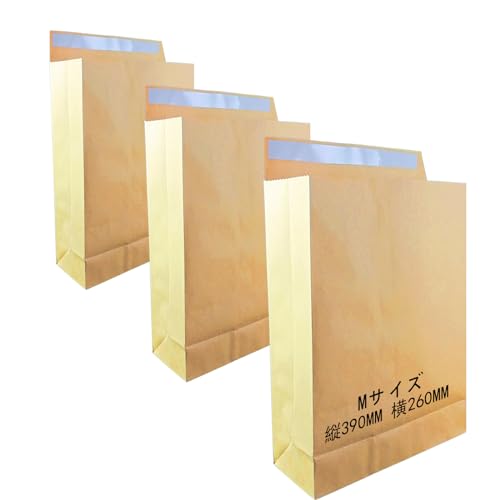 普通の紙袋ではない 紙袋】既製品手提袋 平紐 260×160×260mm 白 F3G11656 | 包装資材